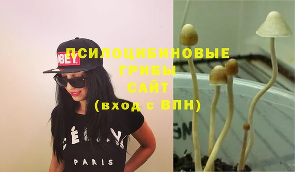 ПСИЛОЦИБИНОВЫЕ ГРИБЫ Волосово