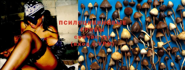 ПСИЛОЦИБИНОВЫЕ ГРИБЫ Волосово