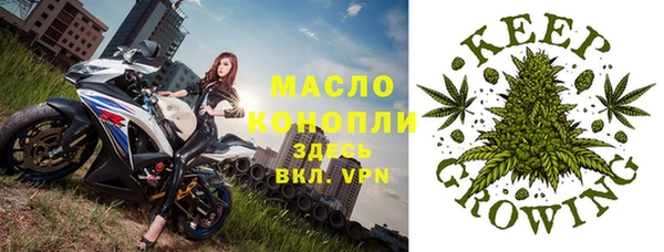 дмт Горняк