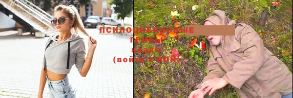 ПСИЛОЦИБИНОВЫЕ ГРИБЫ Волосово